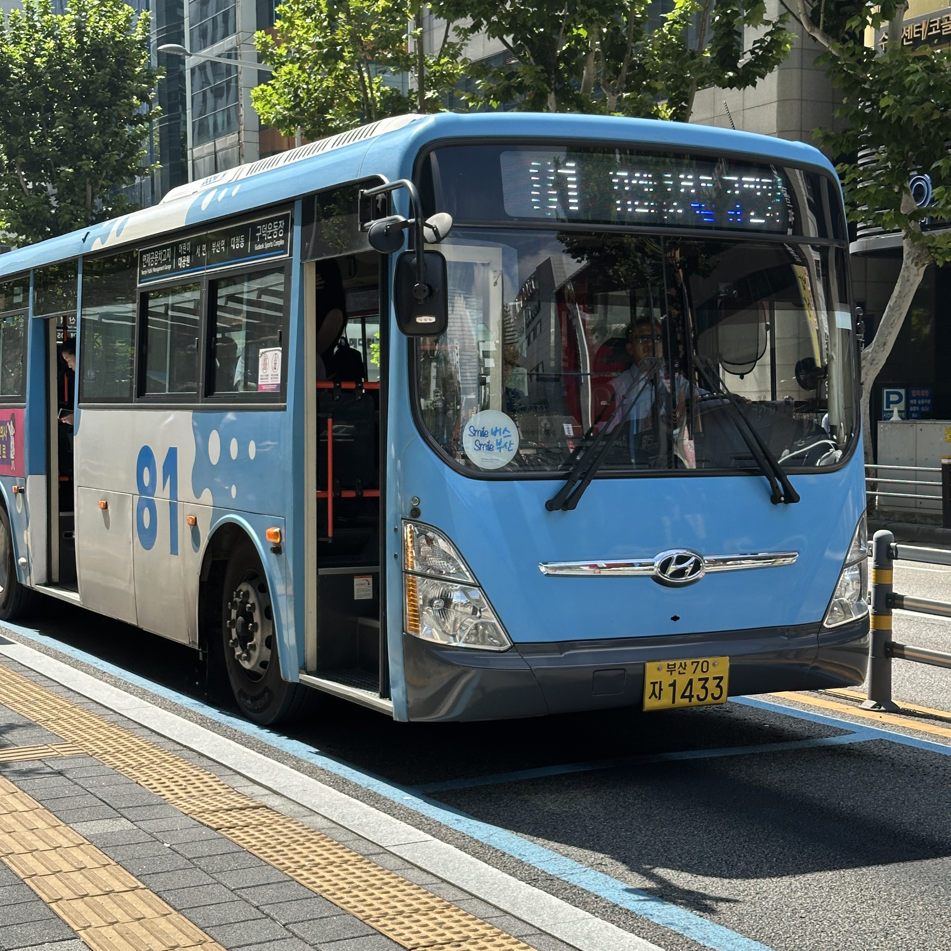 부산81번버스