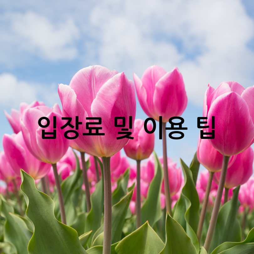 2025년 태안 세계튤립꽃박람회