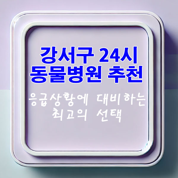 강서구 24시 동물병원 추천 응급 상황에 대비하는 최고의 선택