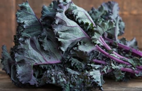 레드-러시안-케일