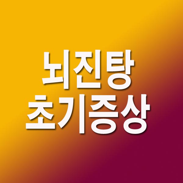 뇌진탕 초기증상