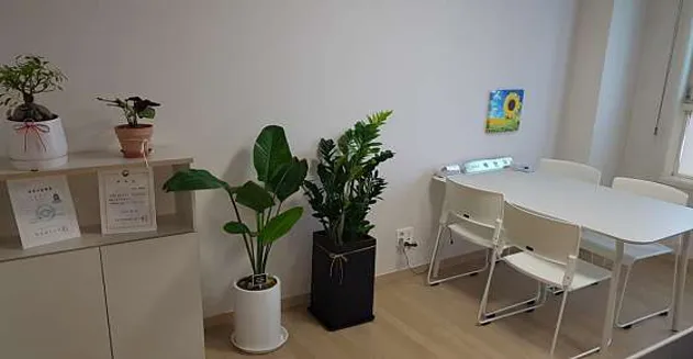 새빛세무회계사무소