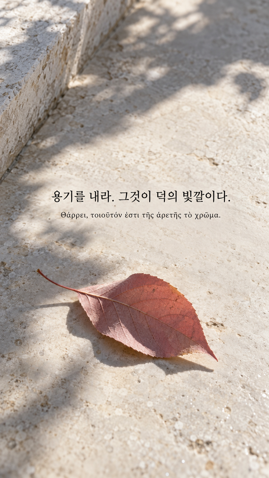 디오게네스 명언 8 용기를 내라. 그것이 덕의 빛깔이다. 한글과 그리스어 원문이 담긴 세로 사진