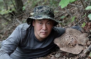 정선심마니