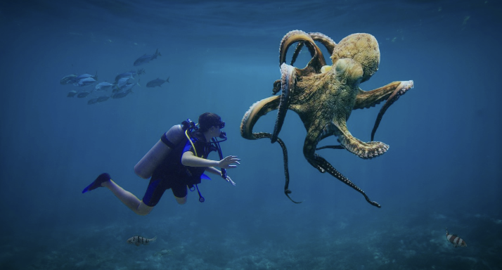심해의 미스터리: 바닷속에 숨겨진 미지의 생명체와 실종 사건