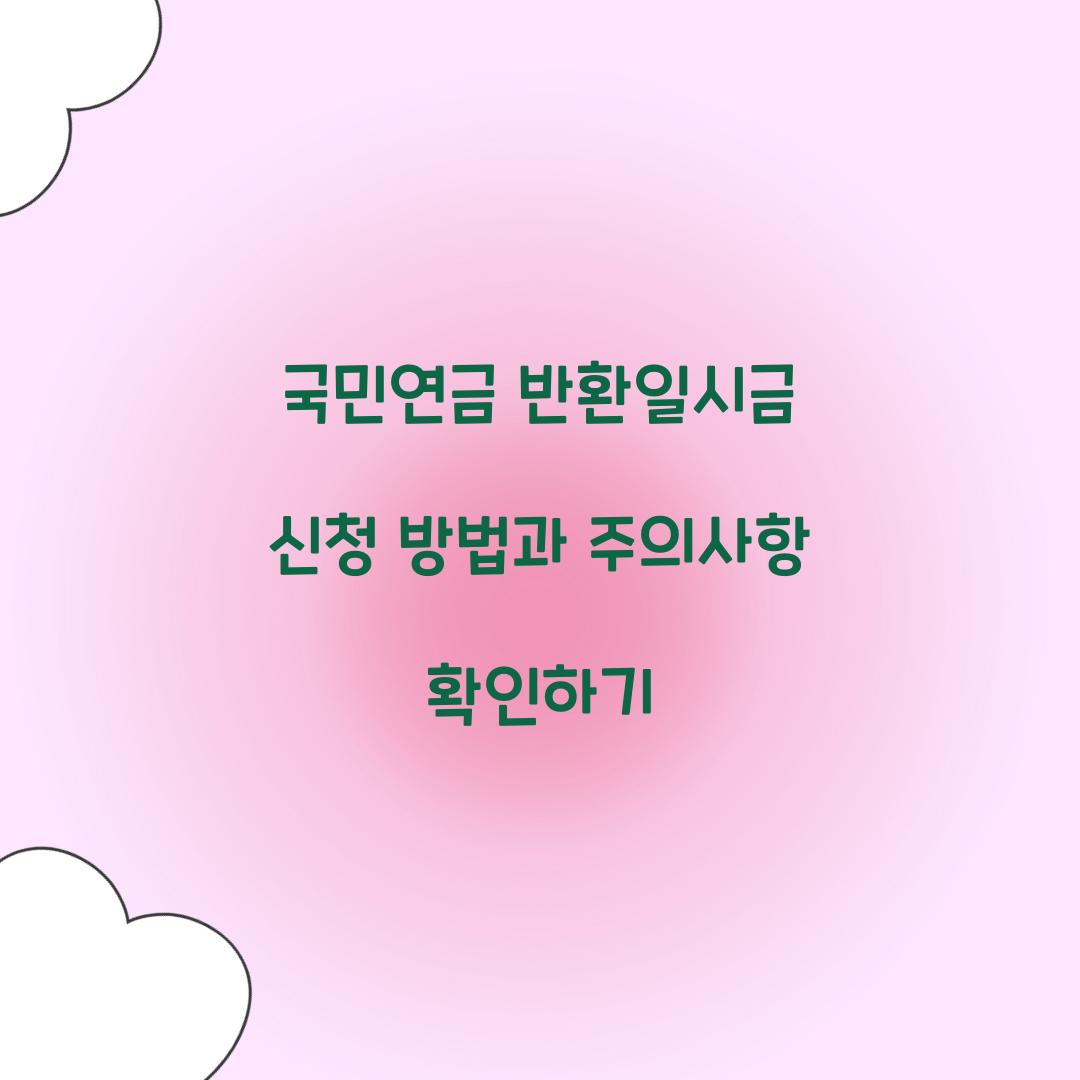 국민연금 반환일시금 신청