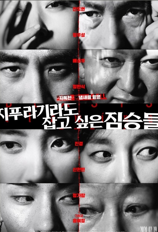 영화 지푸라기라도 잡고 싶은 짐승들