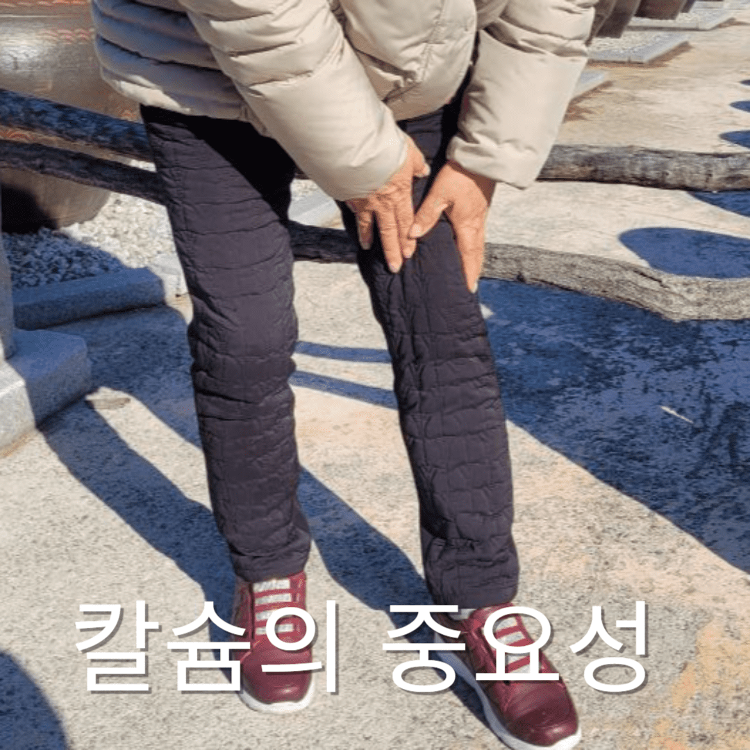 칼슘이 많은 음식