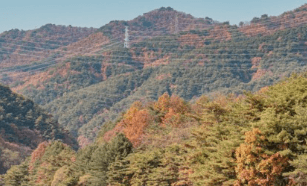 기차여행 단풍특선 추천