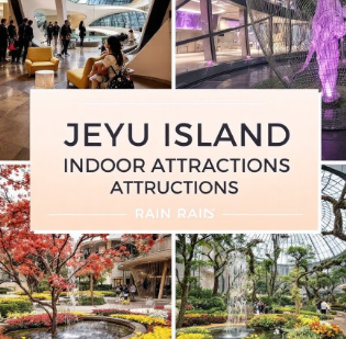 제주 실내 관광지 추천 비 오는 날에도 걱정 없는 여행지 모음
