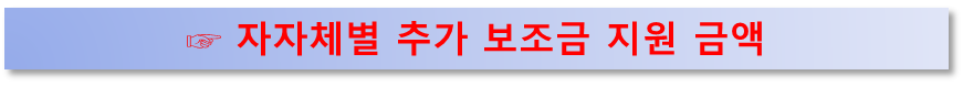 지자체별 친황경차 추가 보조금