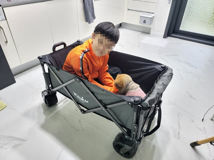 웨건에-탑승한-아이와-강아지