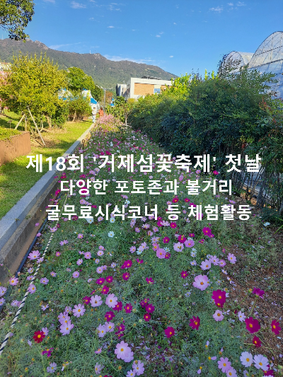 제18회 거제섬꽃축제 첫날 다녀온 후기 많은 포토존 볼거리 체험활동