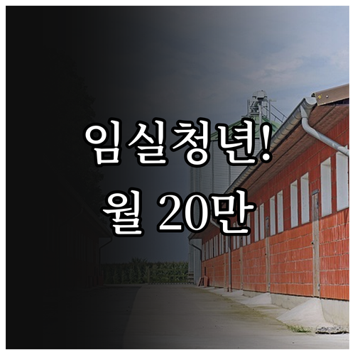 임실군 청년월세 지원 월 20만원 2..