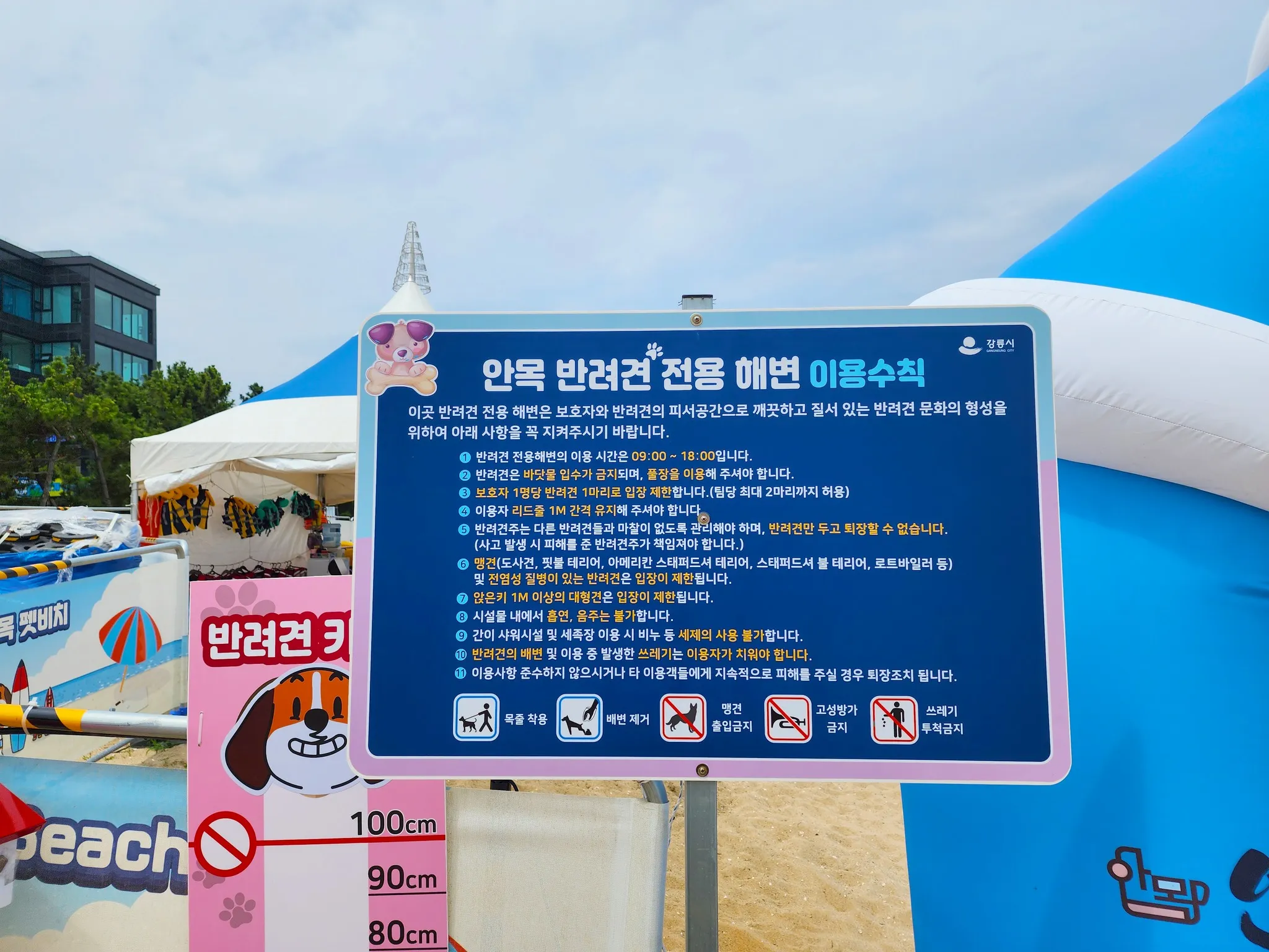 안목 반려견 전용 해변 이용수칙
