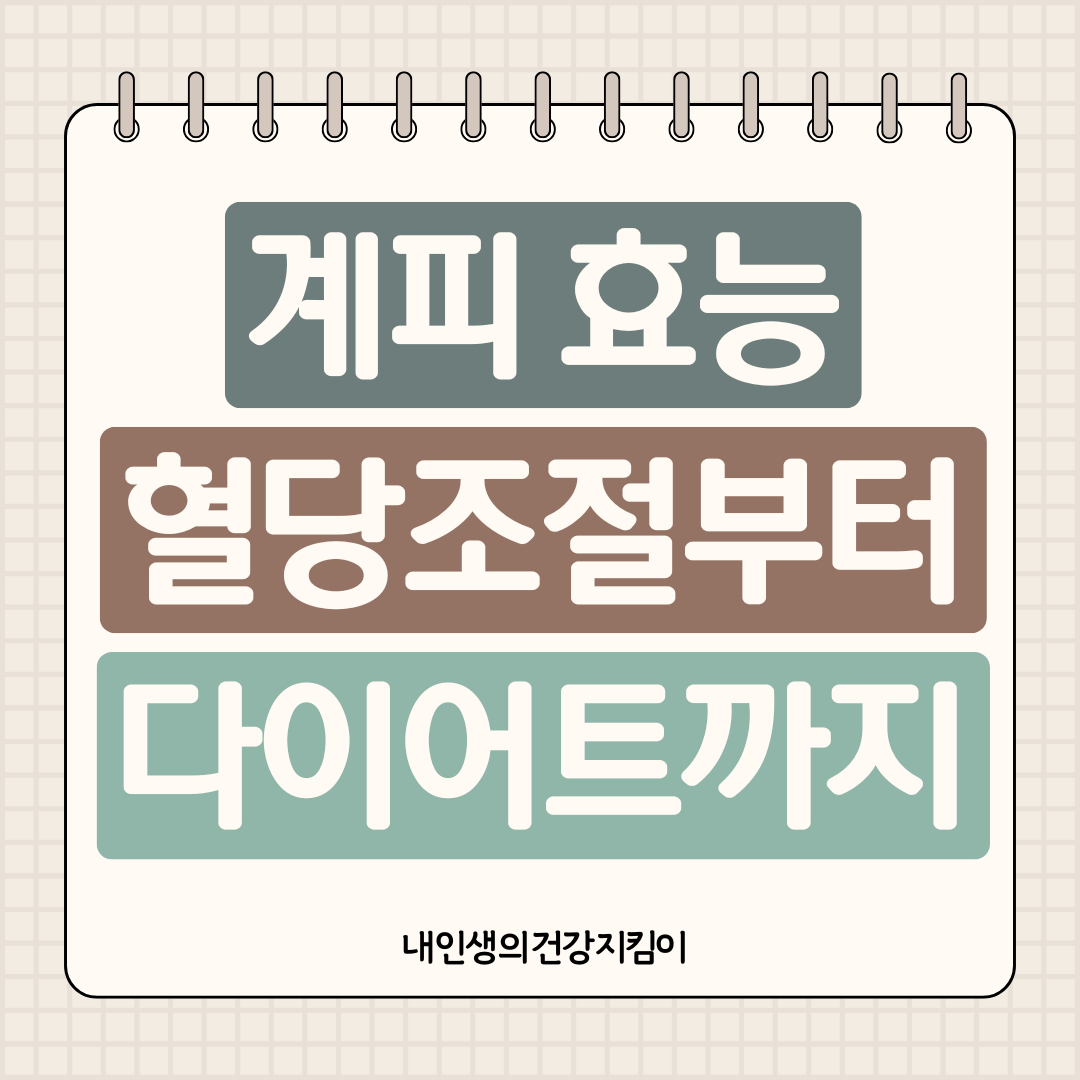 계피 효능 7가지