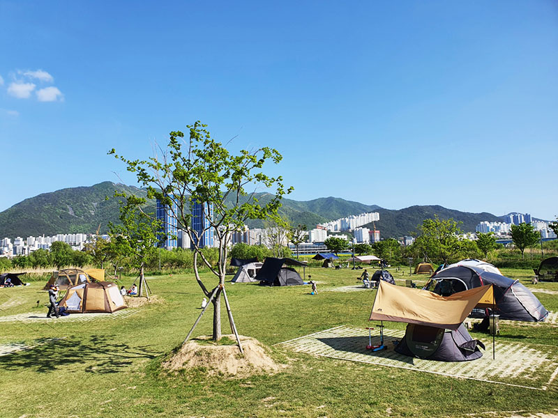 부산 대저생태공원 대저캠핑장 소개