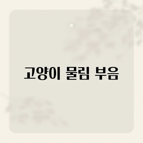 고양이 물림 부음, 빠른 대처법과 효과적인 회복 전략