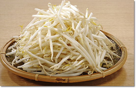 콩나물