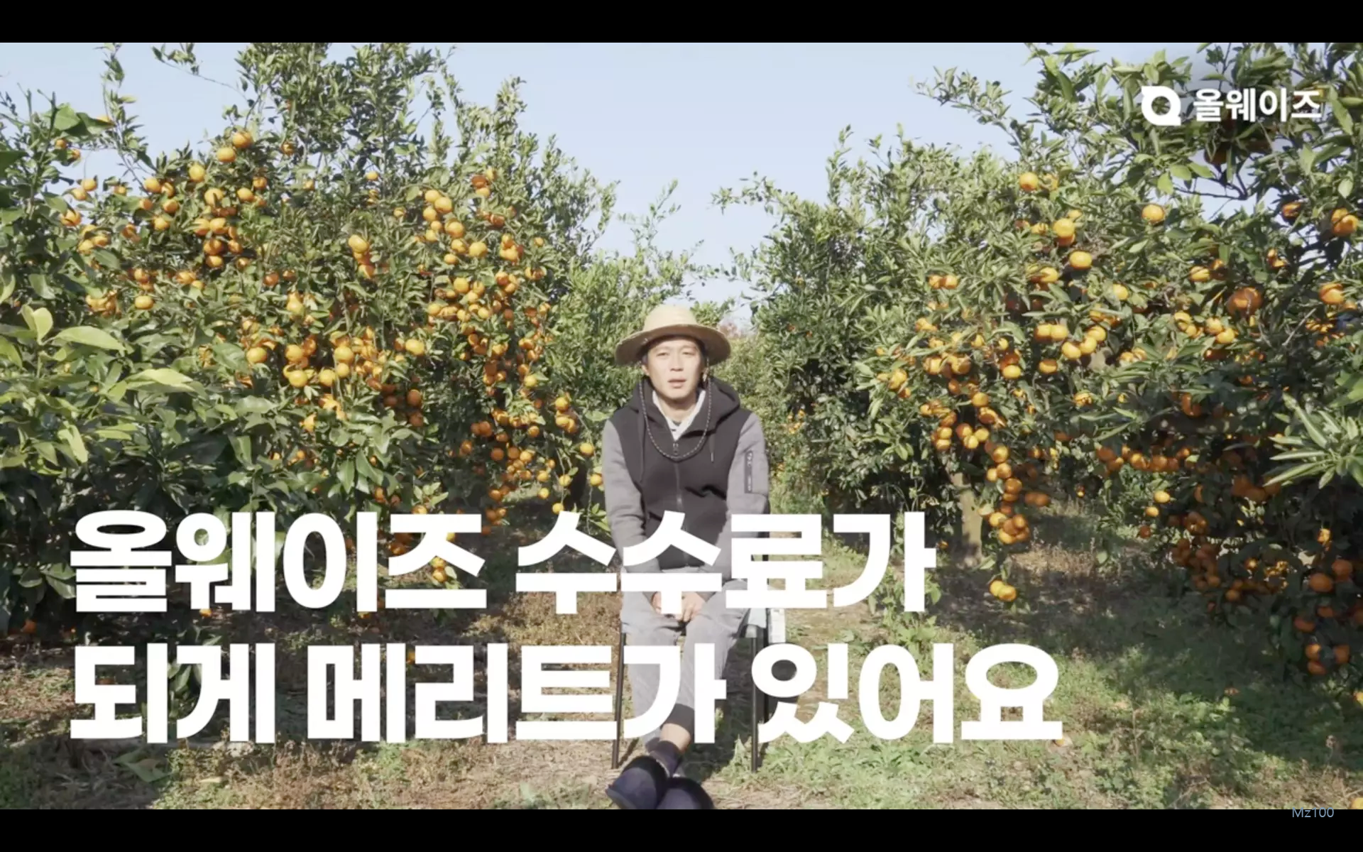 올웨이즈 살펴보기 6