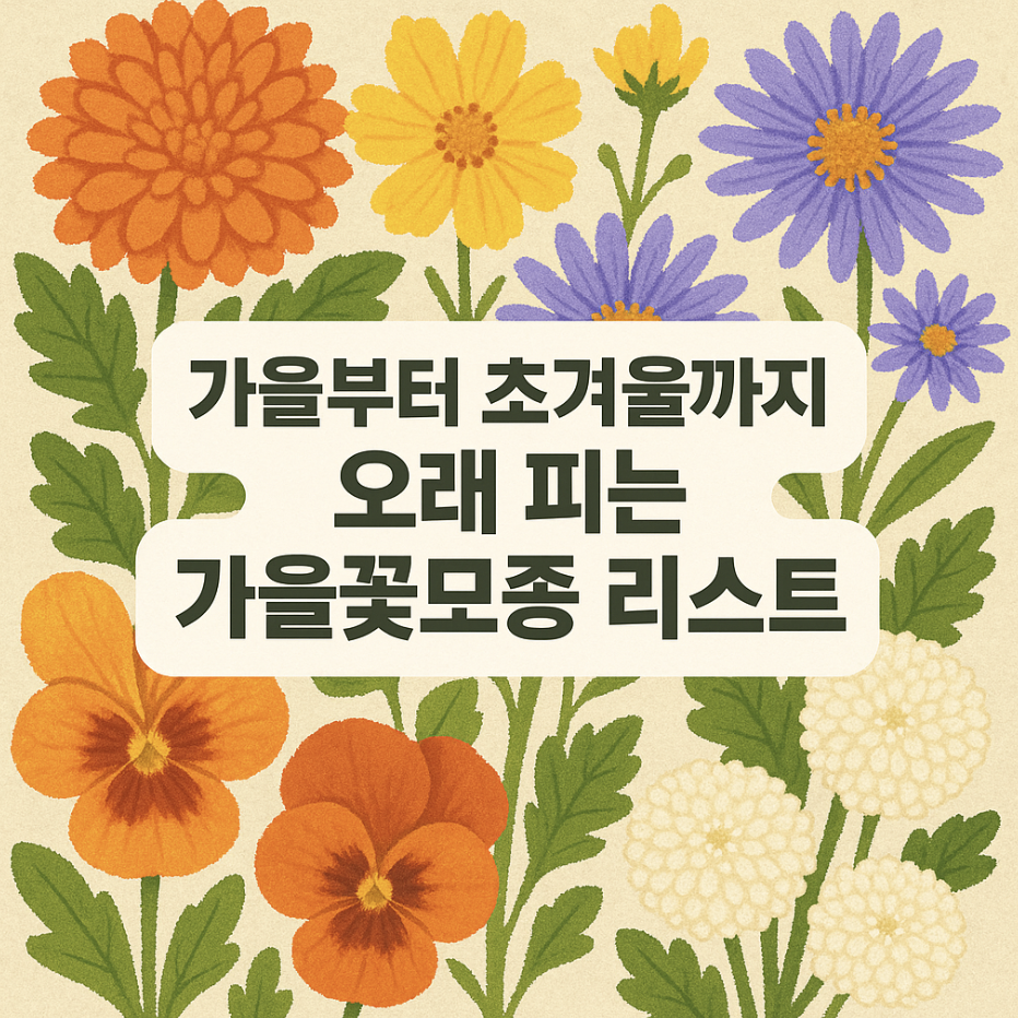 가을부터 초겨울까지 오래 피는 가을꽃모종 리스트
