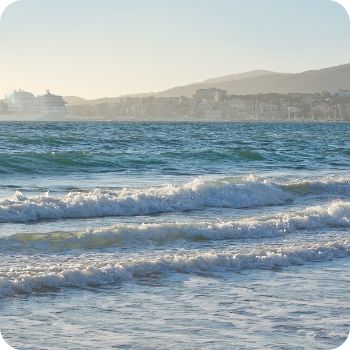 MSC 크루즈 예약 사이트 국내