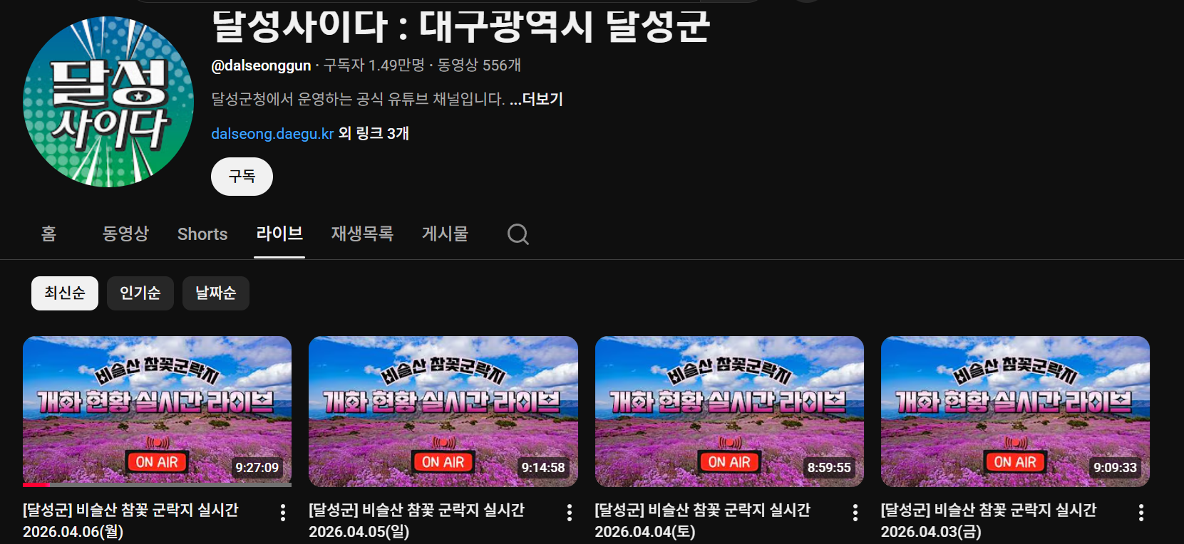 비슬산 개화 현황