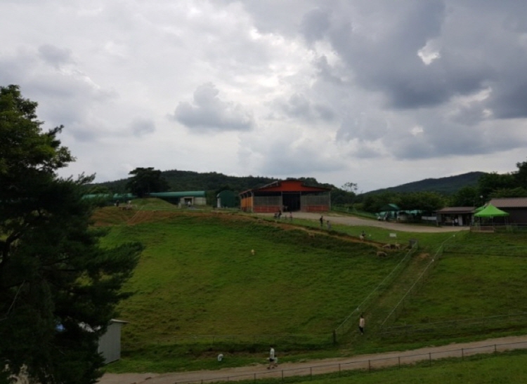 칠곡 가볼만한곳