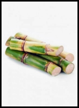 폴리코사놀 복용법