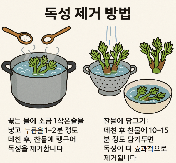 두릅독성제거방법