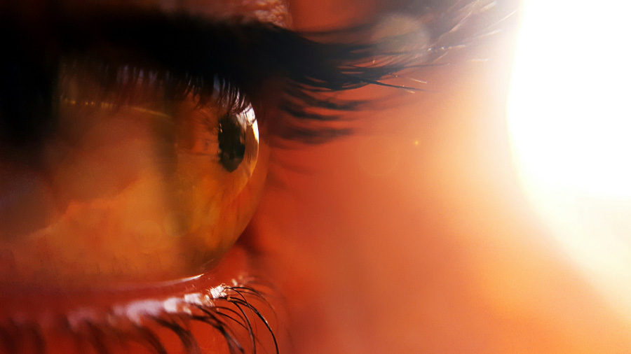 손눈썹이 길게 나 있는 여성의 눈을 옆에서 근접하여 확대를 하여 찍은 사진