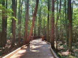 휴애리 자연휴양림 입장료 할인받는 3가지 방법