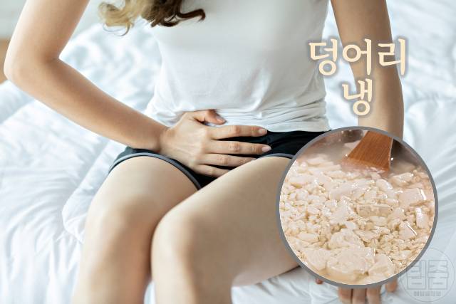 냉색깔 연두부 치즈 덩어리