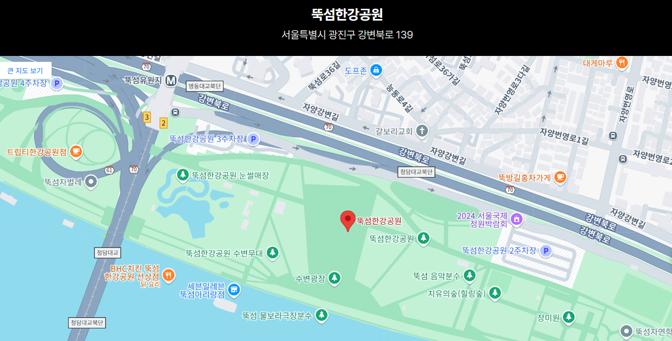 2025 한강 드론쇼 장소