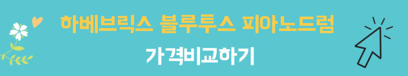 하베브릭스 블루투스 피아노드럼 가겨비교하기