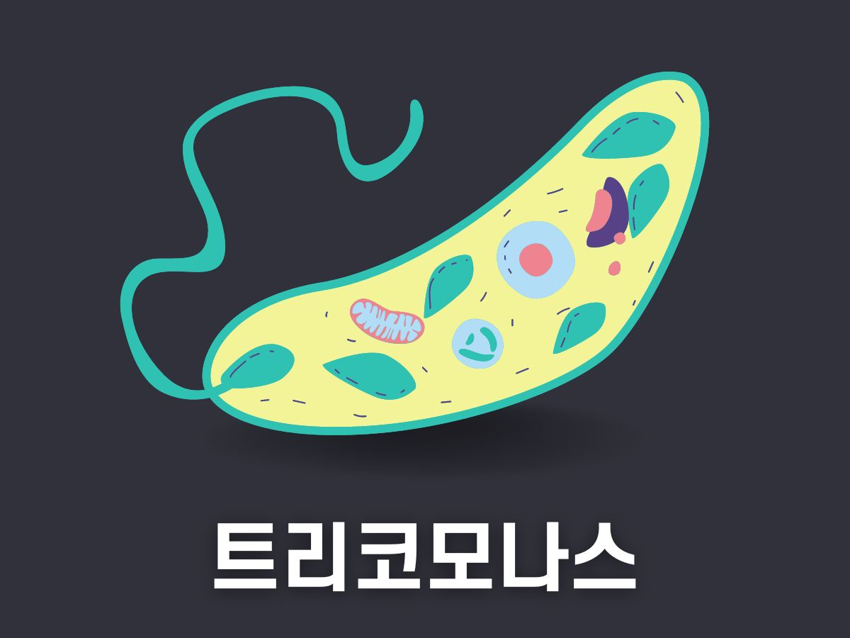 트리코모나스 질염 치료법