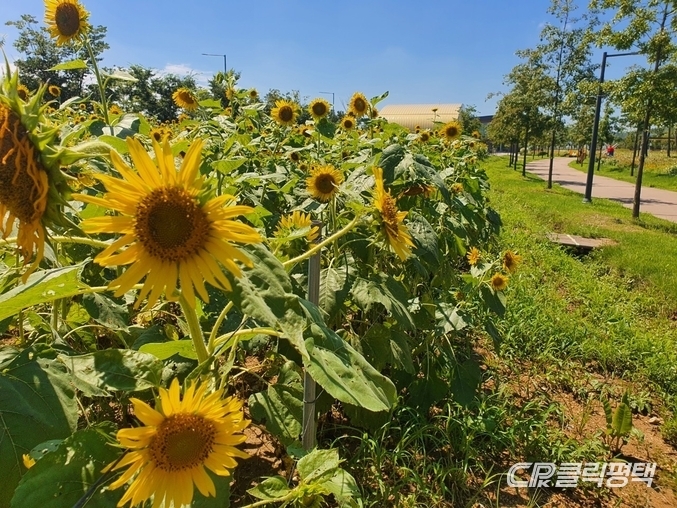 평택 농업생태원