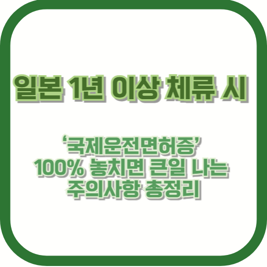 일본 1년 이상 체류 시, ‘국제운전면허증’ 100% 놓치면 큰일 나는 주의사항 총정리