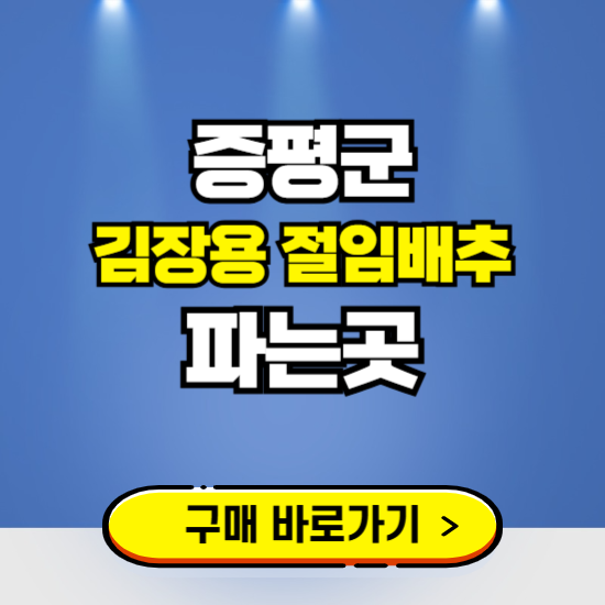 증평군 절임배추 사전예약 구입하는곳 ❘ 김장배추 파는곳 가격보기