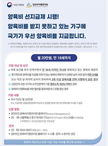 양육비 선지급금 