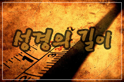 성경의 길이 표지 내용