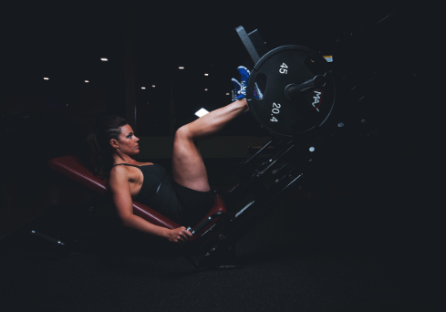 leg muscle