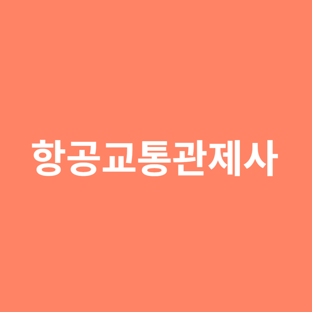 항공기의 운항을 통제하고 배정하는 직업인 항공교통관제사의 전망을 알아봅니다.