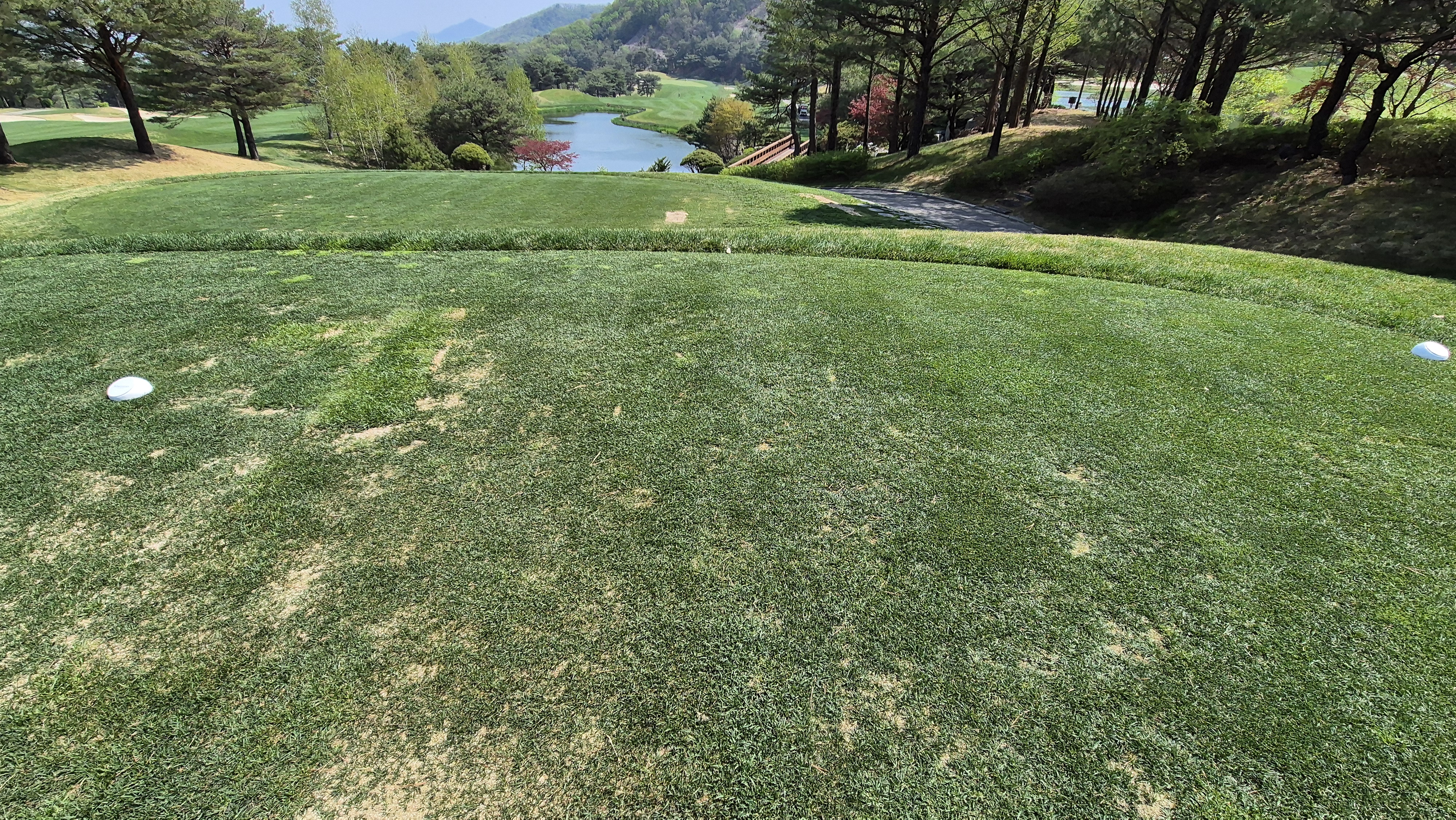 소노펠리체cc 비발디파크 웨스트