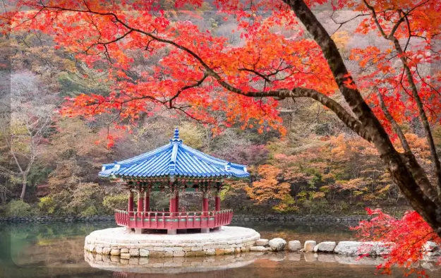 우화정과 내장산 단풍