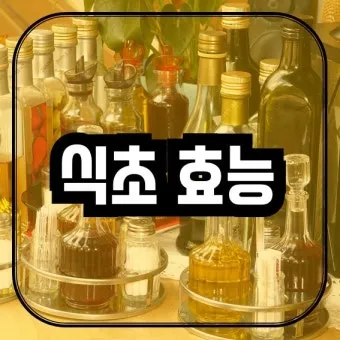 식초 복용법 정리 위장에 미치는 영향 총정리_28