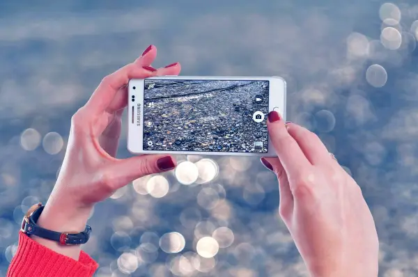 단통법 폐지, 선택 약정, 공시 지원금, 번호 이동, 자급제폰, 할인골든타임