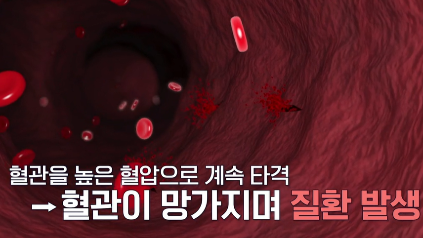 아르기닌의 효능