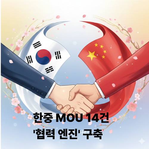 한중 mou