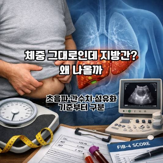 체중 변화 없이 지방간 이야기를 듣고 검사·수치 기준부터 차분히 정리하는 40~60대의 일상